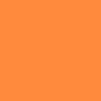 Playful Orange Swatch